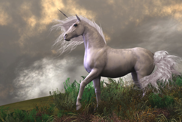 little unicorns, digital communications, washington DC